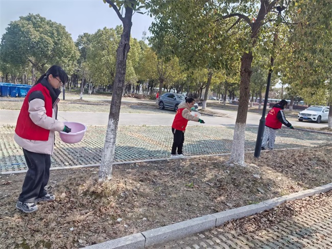 图片4