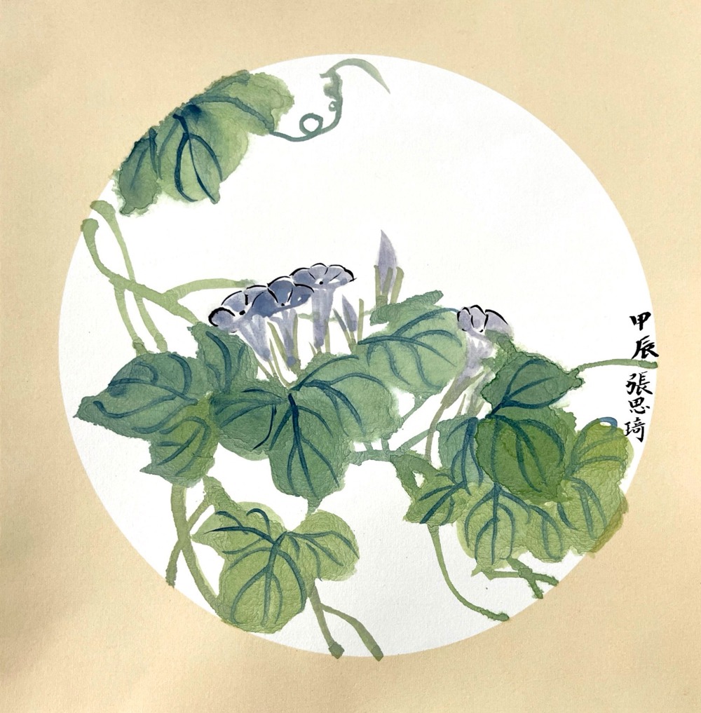 张思琦