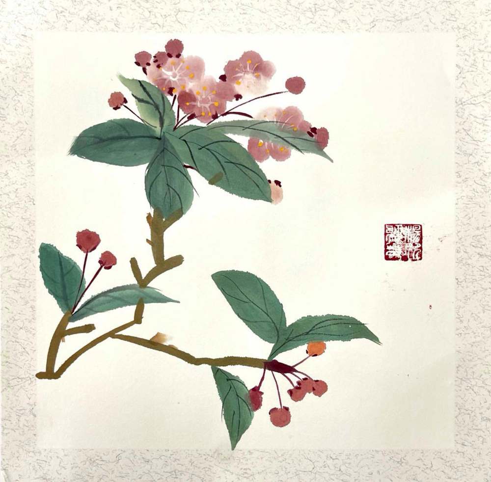 杨欣颖